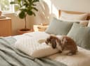 Baby Donut Pillow — on a made bed in a calm sage nursery with the Sleeping Bunny rabbit