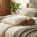 Kids Pillow — a child's bed with the Sleeping Bunny rabbit resting against the pillow