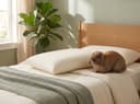 Kids Pillow — on a single bed in a soft sage kids' bedroom with a bunny
