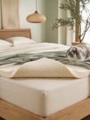 Latex Mattress Topper — natural latex